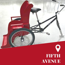 Ice Trike - Fifth Avenue